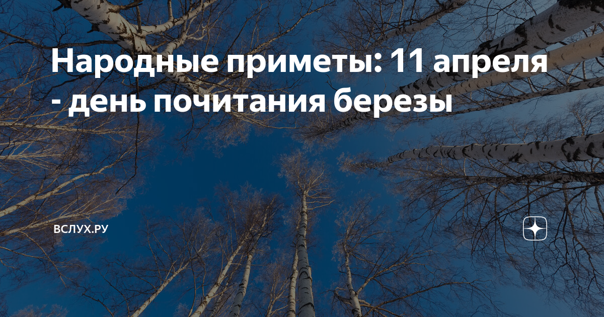 Приметы на 11 апреля. 11 Апреля день березы. Народные приметы о Березе. Приметы и поверья связанные с березой. Берещенье 11 апреля.