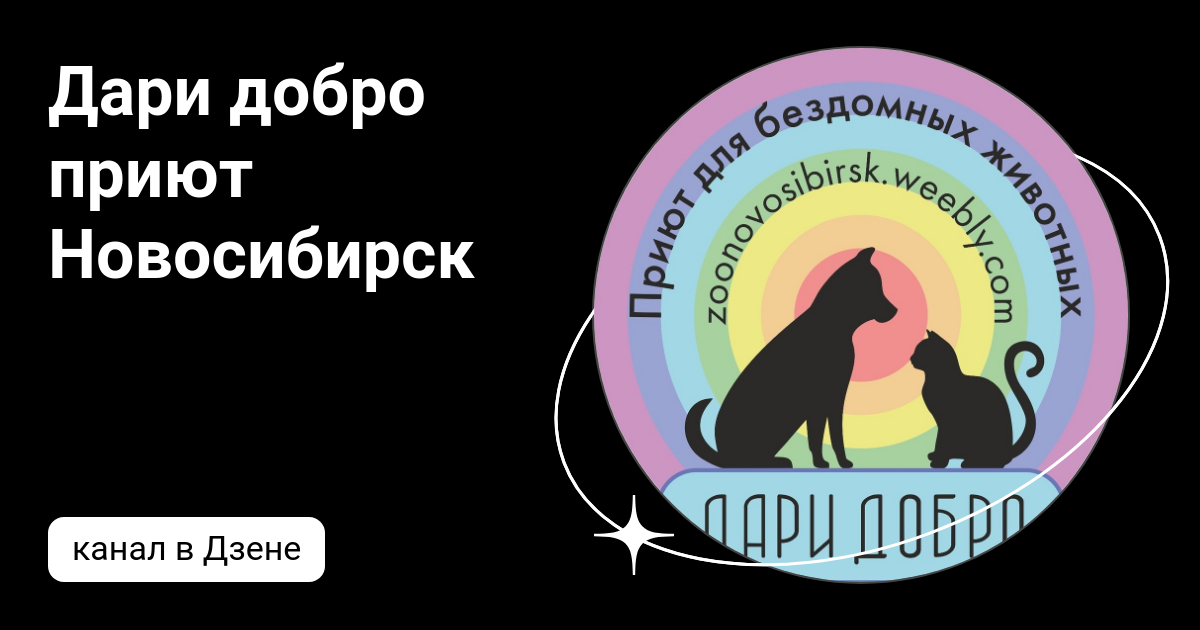 Приют дари добро нск