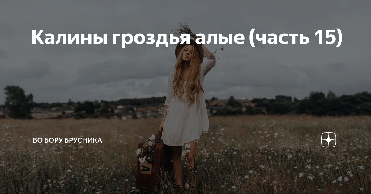 Калины гроздья алые рассказ