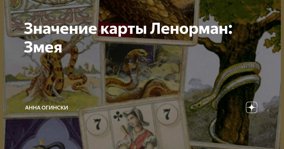 Значение карты Ленорман: Змея | Анна Огински | Дзен