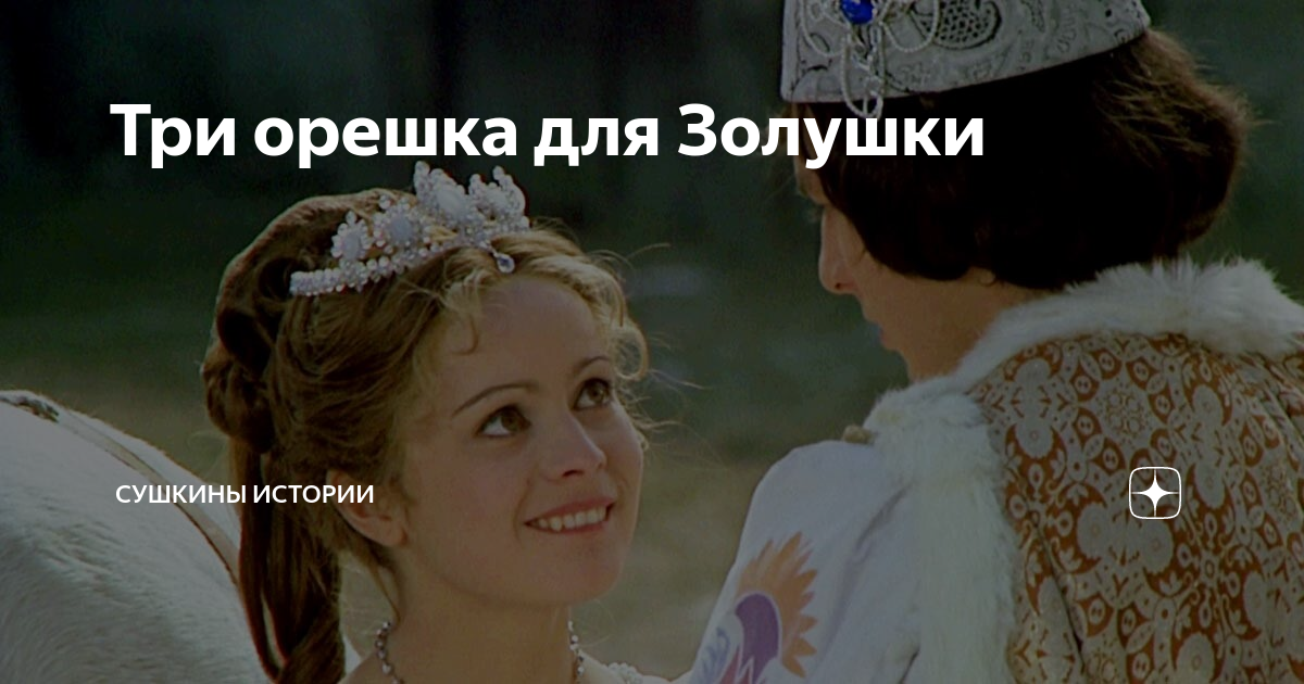 Сушкины рассказы читать. Сушкины рассказы читать