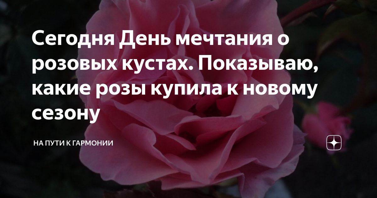 15 — день мечтания о розовых кустах. девушка в саду. день мечтания о розовых кустах открытки. девочка ангел с цветами. день мечтания о розовых кустах.