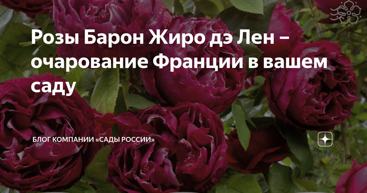 Барон жиро де лен описание
