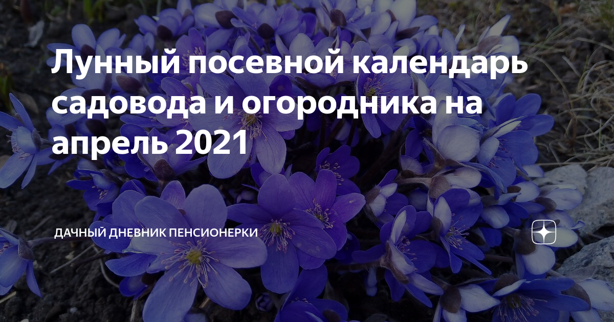 Лунный календарь садовода огородника на апрель 24