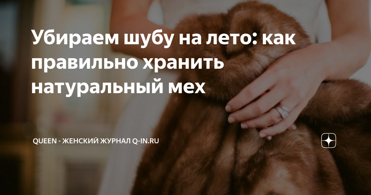 бастард примечательно к шубе. снимает шубу. смешная шуба. съели шубу. химчистка изделий из меха.