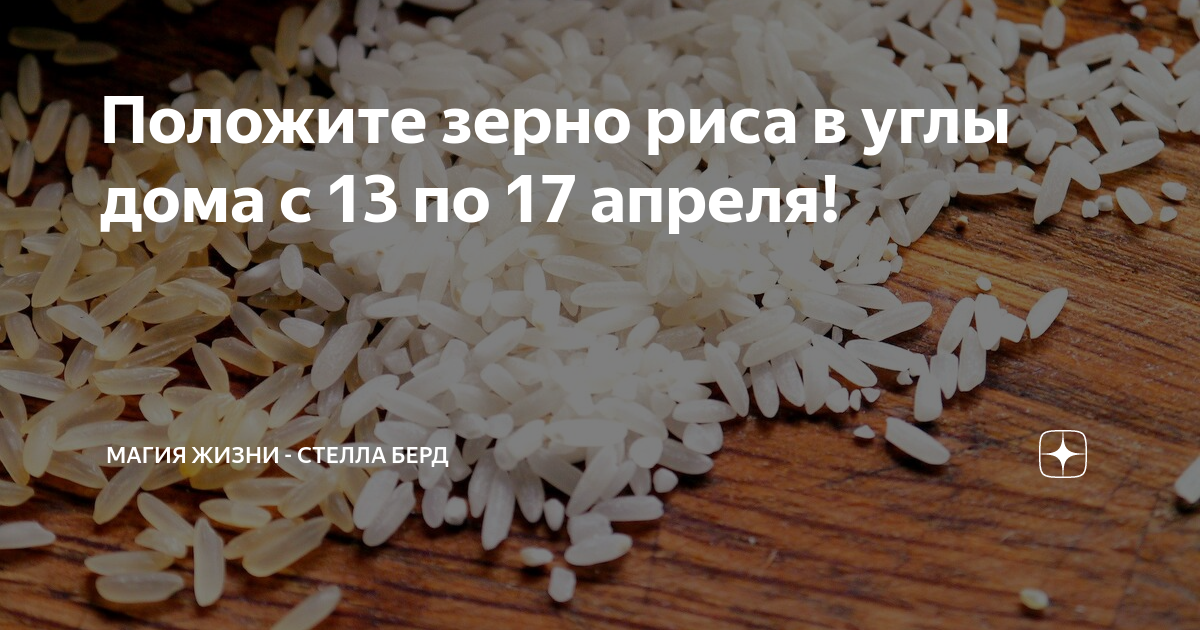 Курочка клюет зернышки. Рожь тема проекта. Фарфор рисовое зерно. Клевали зерна полагалось верить понятно. Курочка по зёрнышку клюёт да сыта бывает.