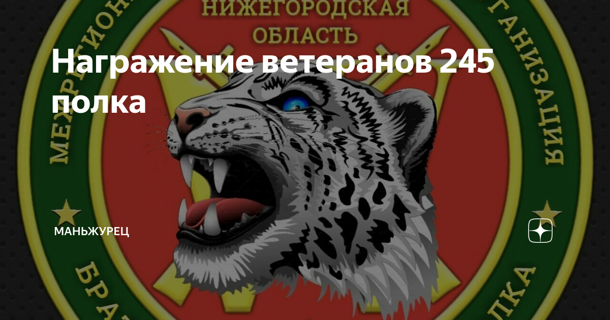 Шеврон 33 мсп. Флаг 245 мотострелкового полка. Шеврон 245 мотострелкового полка. 245 мотострелкового полка. 245 мотострелкового полка.
