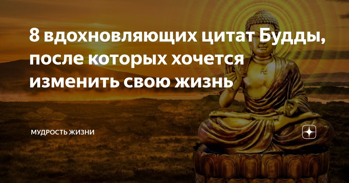 Изречения будды. Изречение о бизнесе Будды в буддизме. Будда о мясе цитаты. Будда думайте о своих ступнях при выступлении.