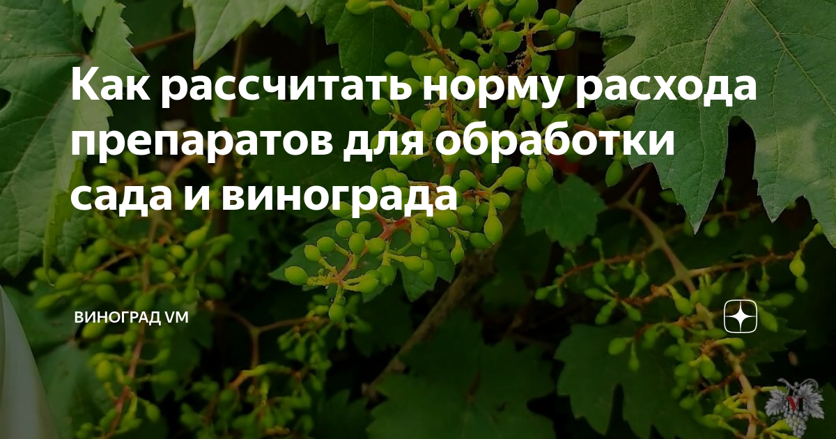 Как рассчитать норму расхода препаратов для обработки сада и винограда ...