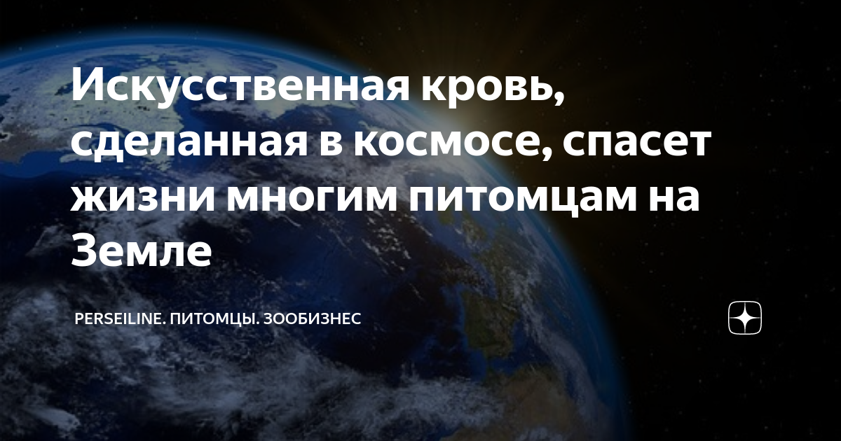 Домашняя лаборатория ужасов: как сделать шрамы и кровь