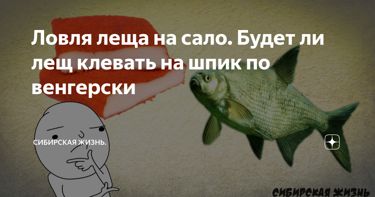 Когда лучше клюет лещ. Как лещ клюёт в полнолуние