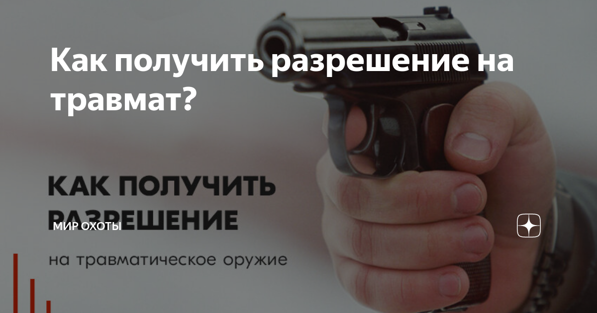 Что нужно чтобы получить травмат. Разрешение на травмат. Как получить лицензию на травмат.