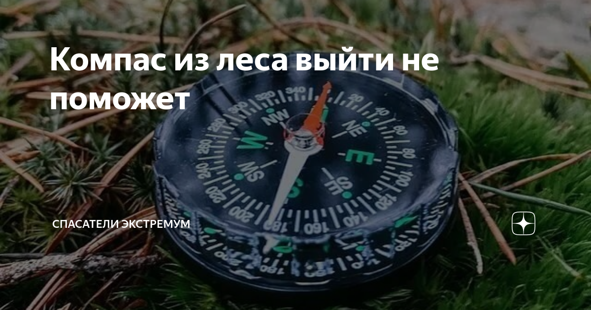 Лесной компас. Компас в лесу