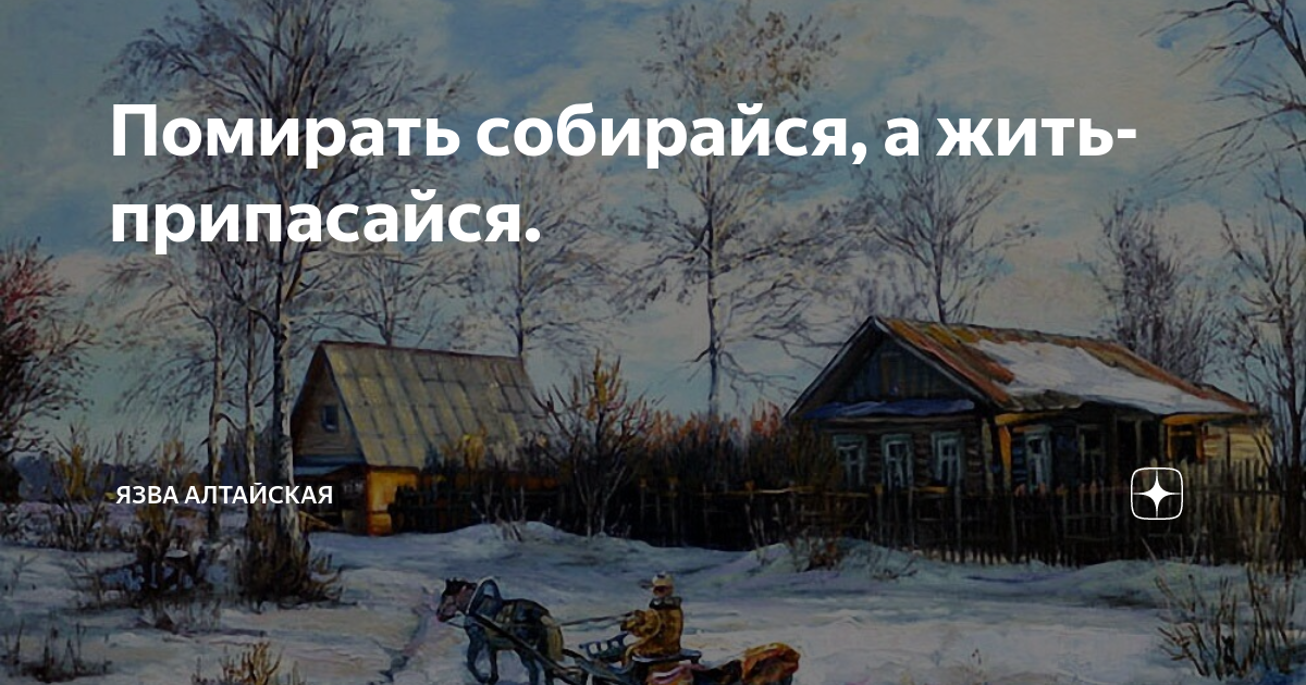 Язва алтайская дзен. Творожники три кота. Язва алтайская на дзене. Язва алтайская дзен дзен. Язва алтайская на дзене.