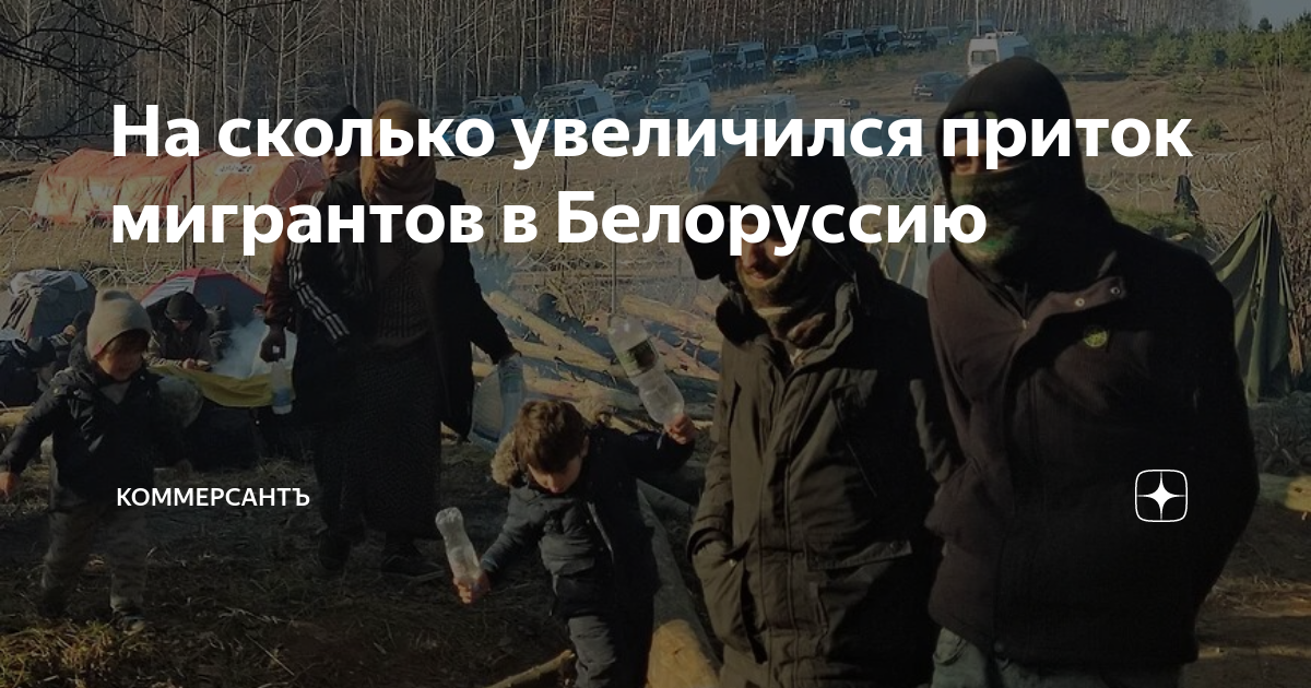На сколько увеличился приток мигрантов в Белоруссию | Коммерсантъ | Дзен
