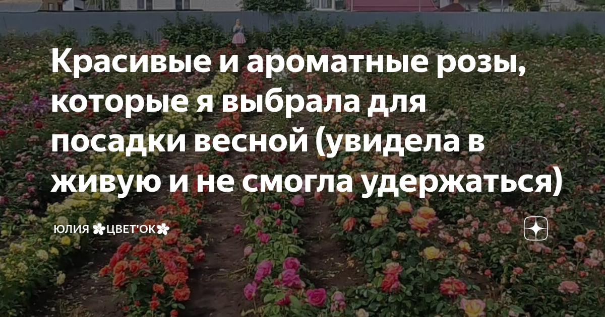 пусть распускаются цветы в саду весеннем у реки кто поет