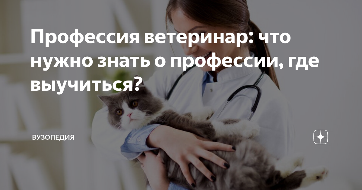 Ветеринар где учиться. Сколько зарабатывает ветеринар. Что нужно ветеринару. Сколько учиться на ветеринара после 9 класса. Ветеринар сколько учиться что делает.