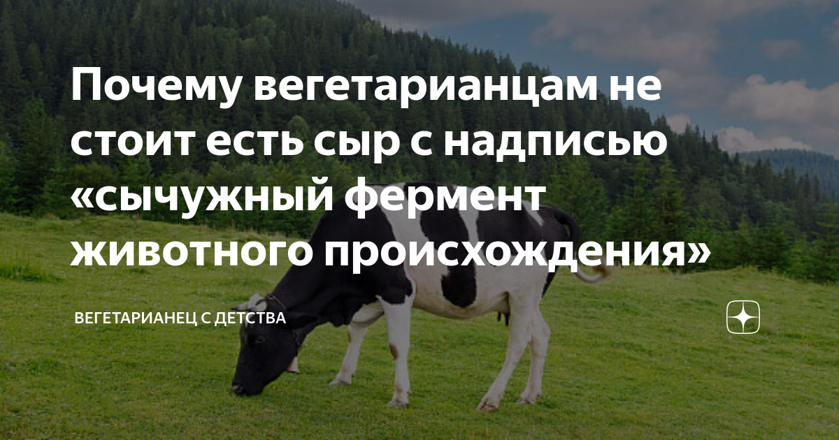 Что значит сычужный сыр и в чем его польза и вред