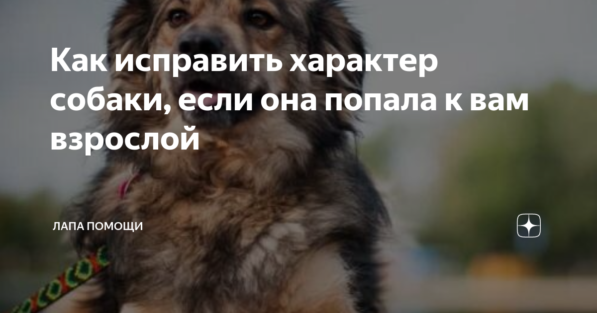 Установление регулярного расписания