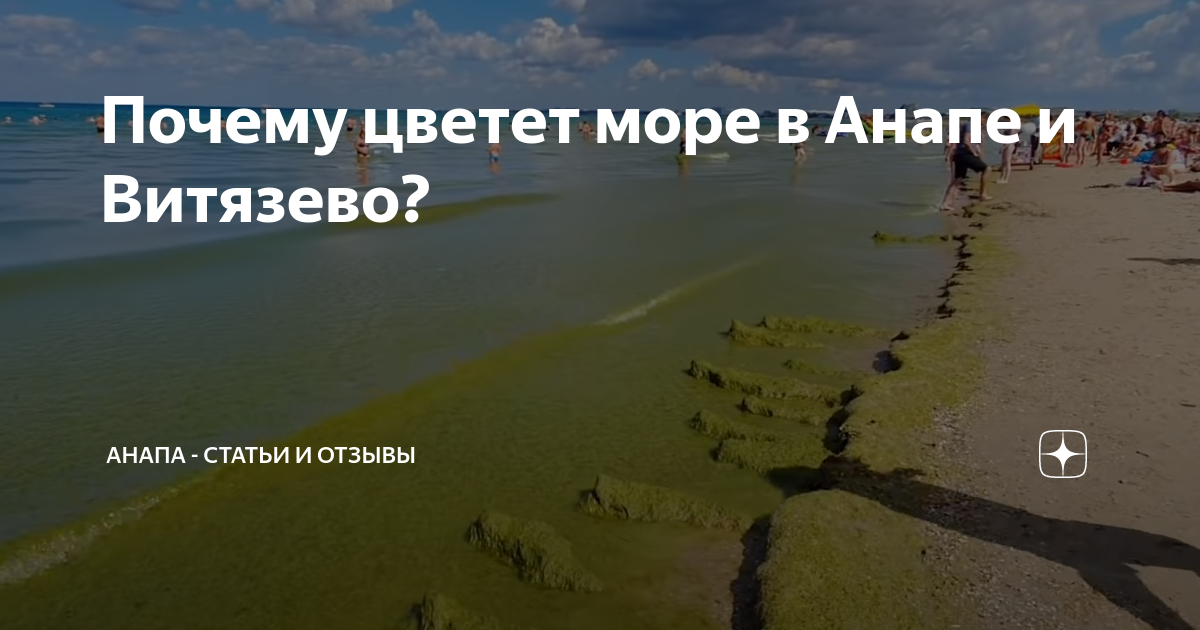 Когда цветет море в геленджике