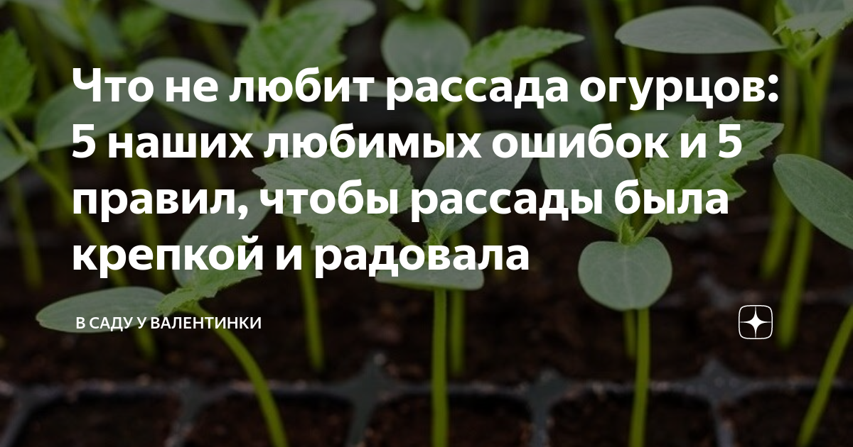 что нельзя есть во время уразы