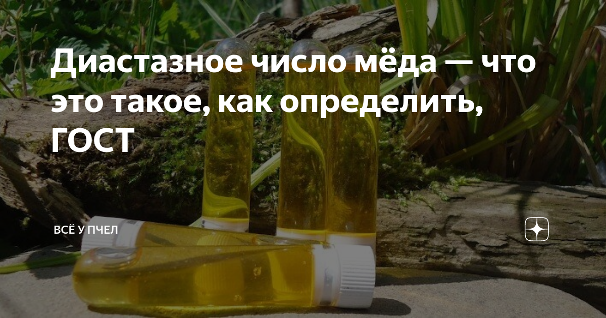 Диастазное число меда - что это такое, как определить