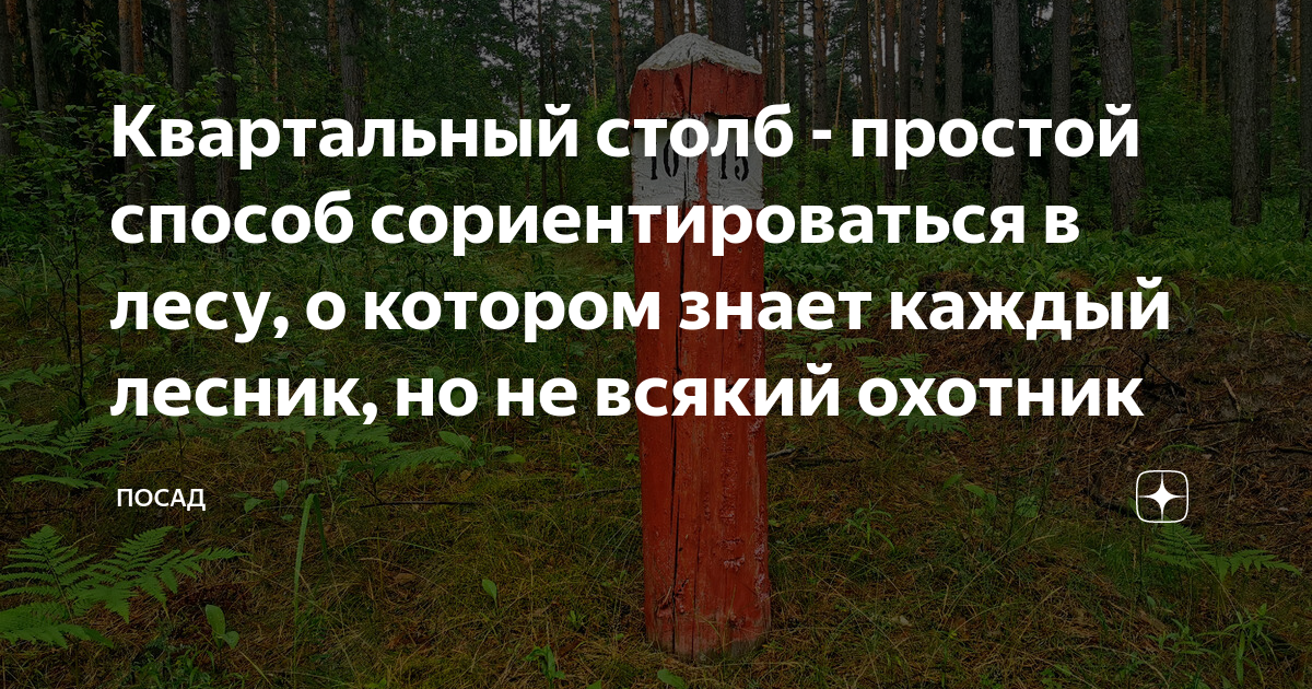 Квартальный столб - простой способ сориентироваться в лесу, о котором ...