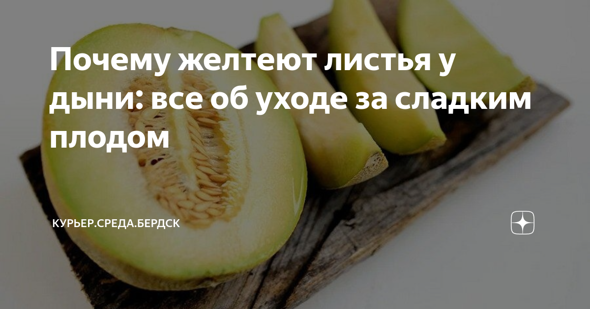 Дыня при повышенной кислотности