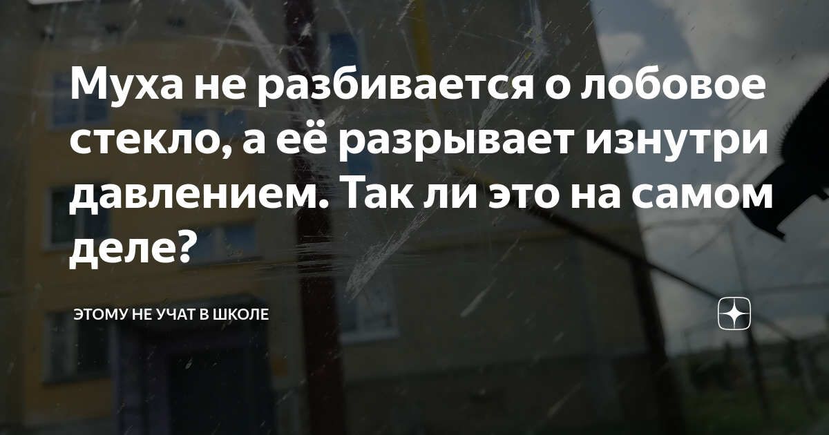 Муха не разбивается о лобовое стекло, а её разрывает изнутри давлением ...