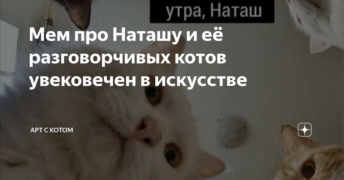 Наташа и коты дзен. Мемы про Наташу и котов удаленка. Приколы про Наташу и её котиков. Приколы про Наташу с котами на работе. Картинки про котов и Наташу с надписями.