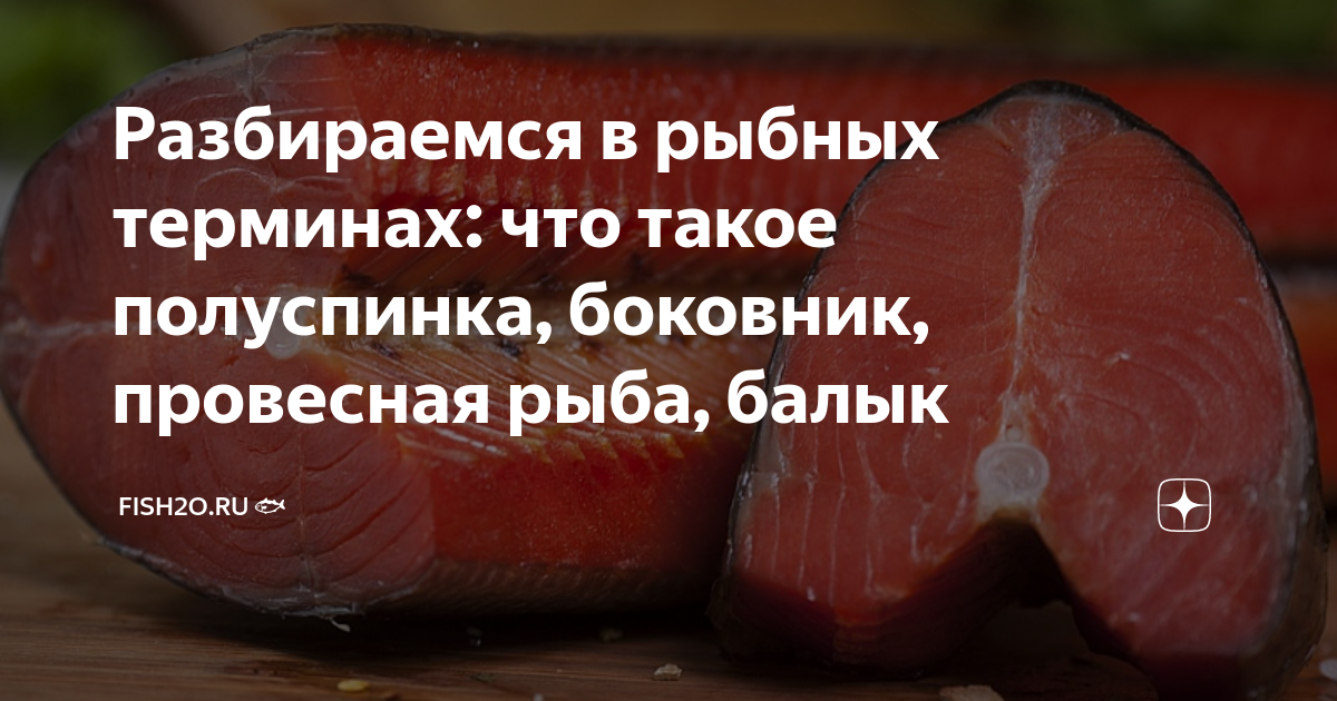 Разбираемся в рыбных терминах: что такое полуспинка, боковник ...