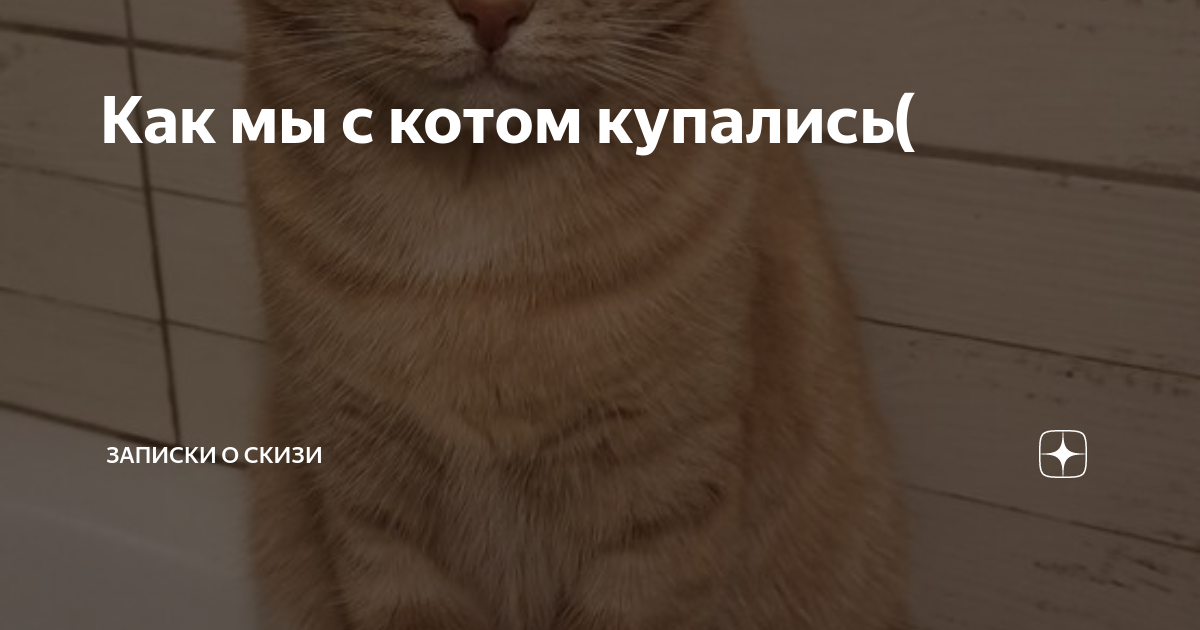 Как мы с котом крысу ловили в туалете