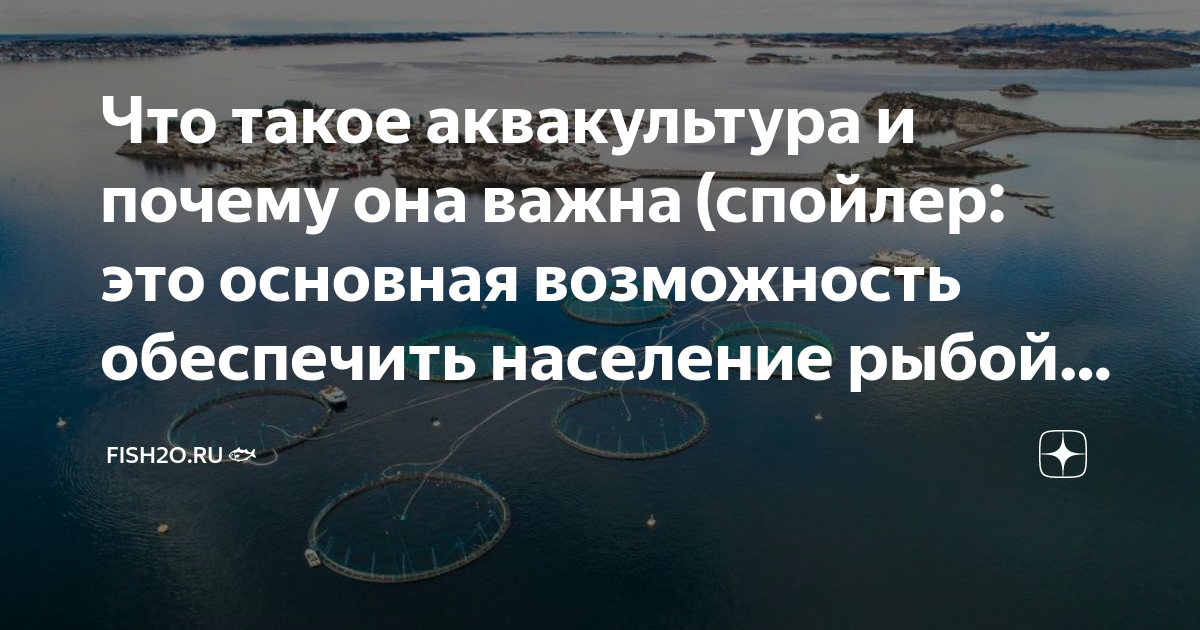 Что такое слово спойлер