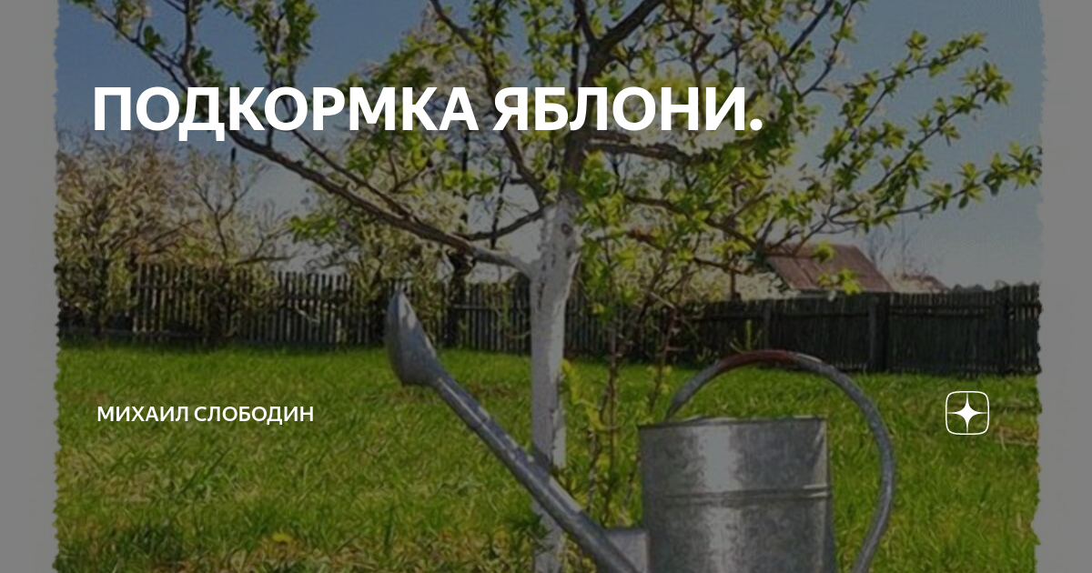 Удобрение яблони Parh. Садоводы -- ветви и -- стволы деревьев. Удобрение для яблони Парфит. Органическое сухое удобрение для яблонь.