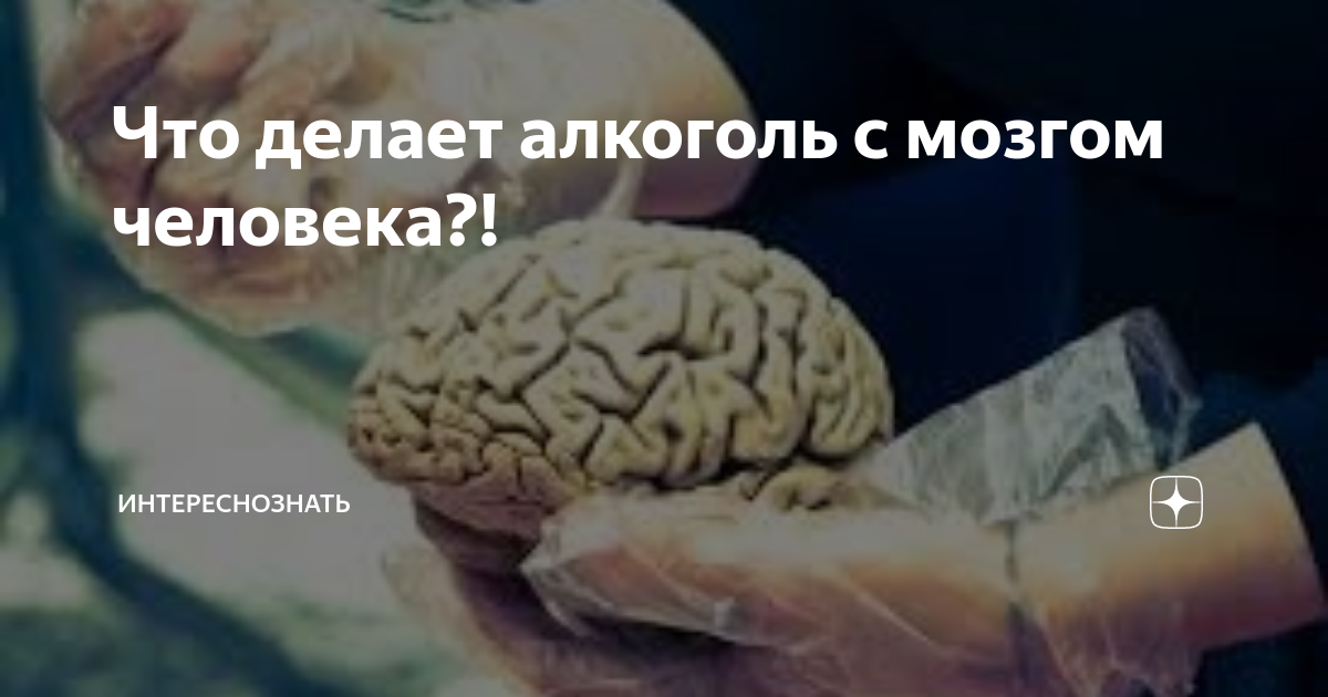 Ученые: алкоголь разрушает мозг после отказа от употребления