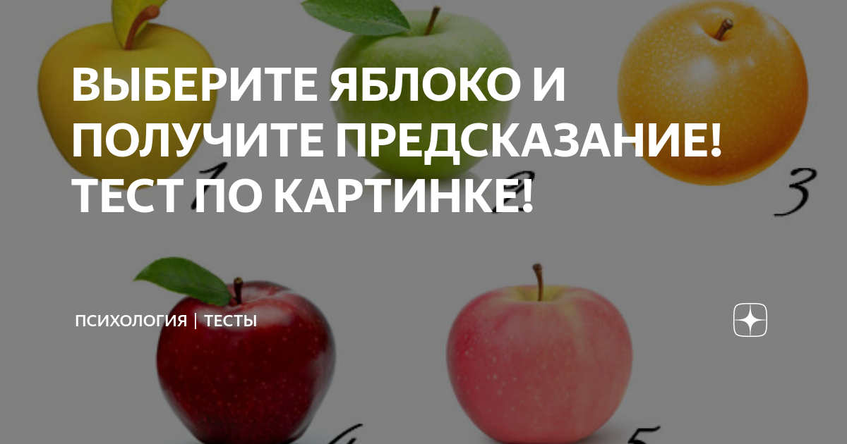 Тест предсказание по картинкам