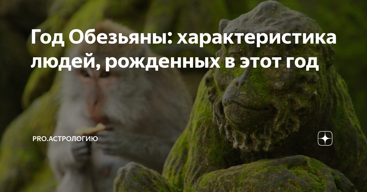 Родившиеся в год обезьяны. Родившиеся в год обезьяны. Китайский зодиак обезьяна. Родившиеся в год обезьяны. Обезьяна года по гороскопу.