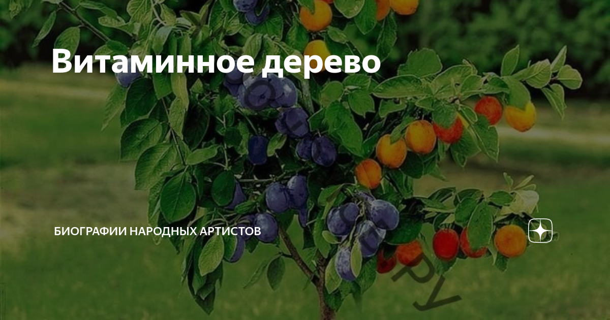 I'm From Гель для лица витаминный - Vitamin tree water gel, 3г (пробник)