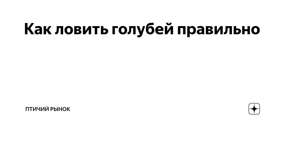 Как сделать ловушку для голубей?