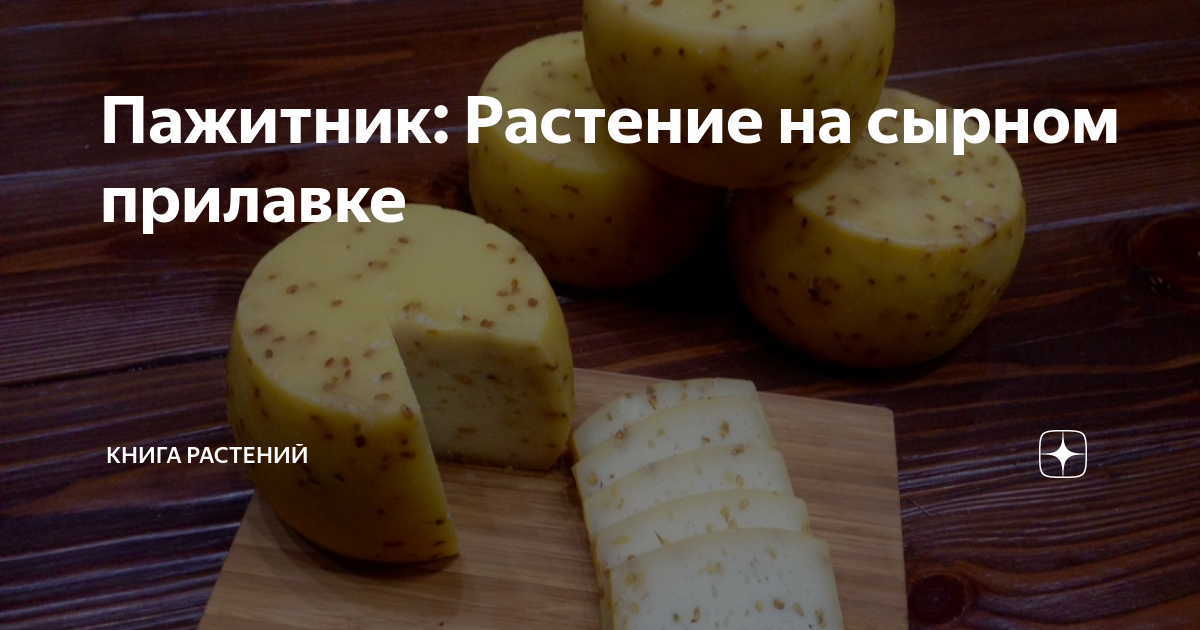 Пажитник: Растение на сырном прилавке | Книга растений | Дзен
