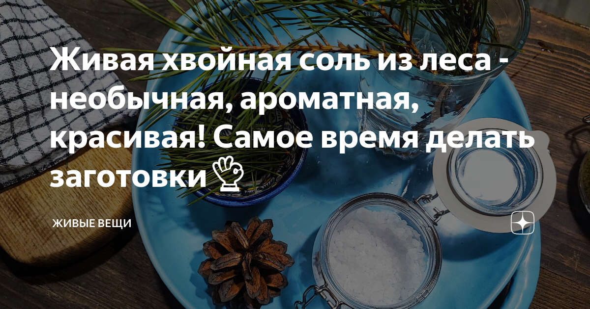 включим ожила хвоя досуг