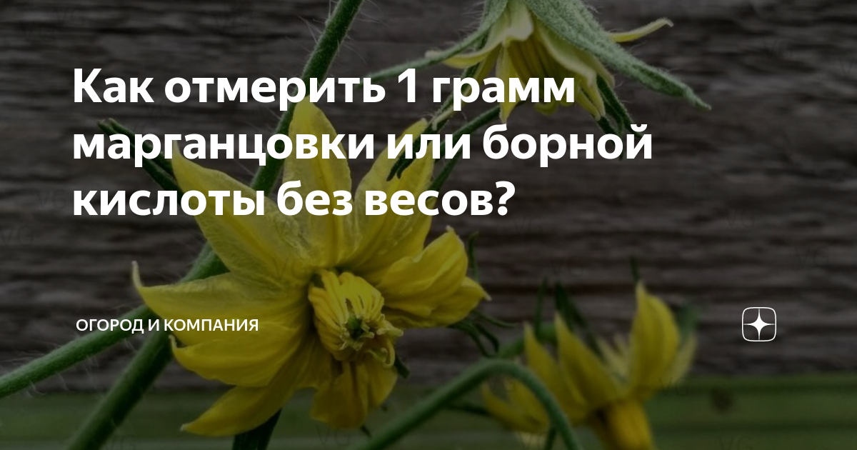 1 грамм борной кислоты как отмерить