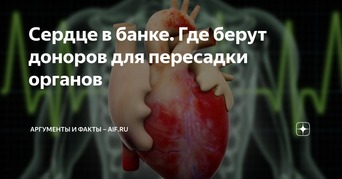 Сердце в банке. Где берут доноров для пересадки органов | Аргументы и ...