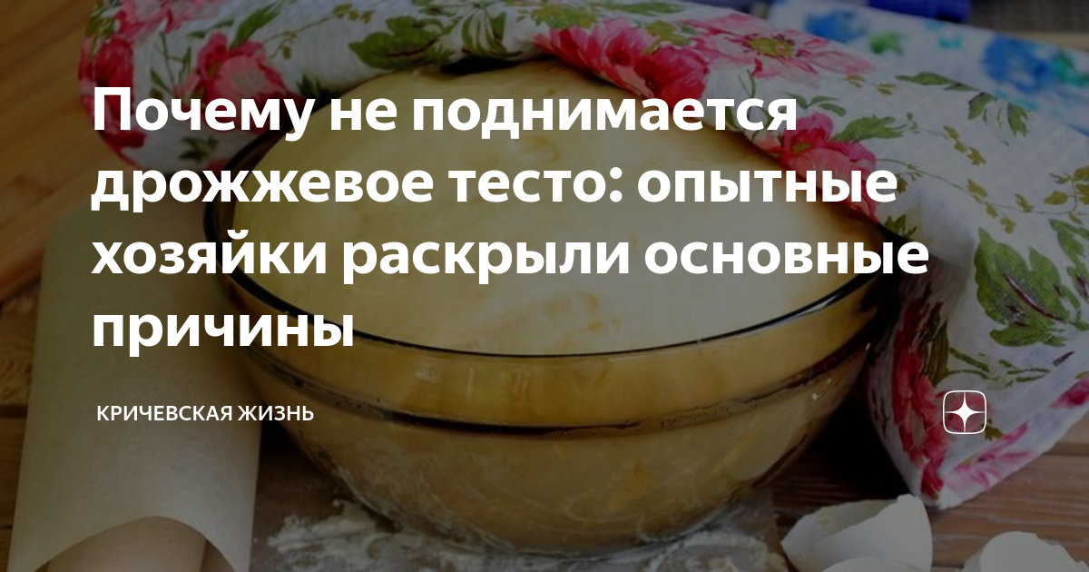 Почему тесто поднимается на дрожжах