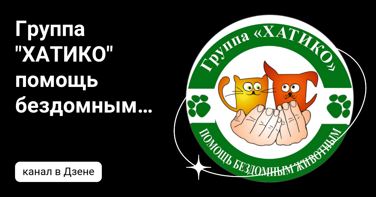 Хатико помощь