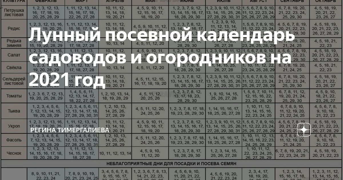 Посевной календарь комнатных растений. Лунный календарь для комнатных растений.