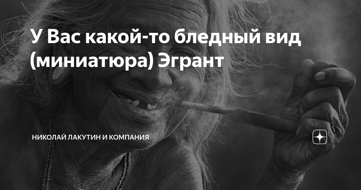 Читаем истории дзен