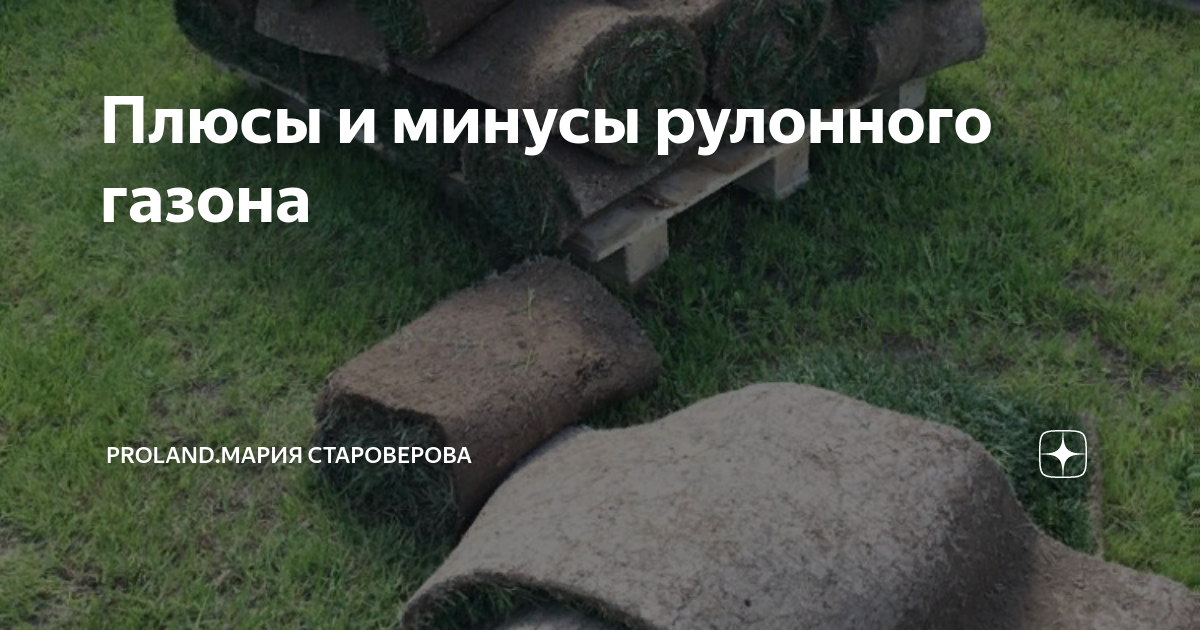 Плюсы и минусы рулонного газона | Proland.Мария Староверова | Дзен