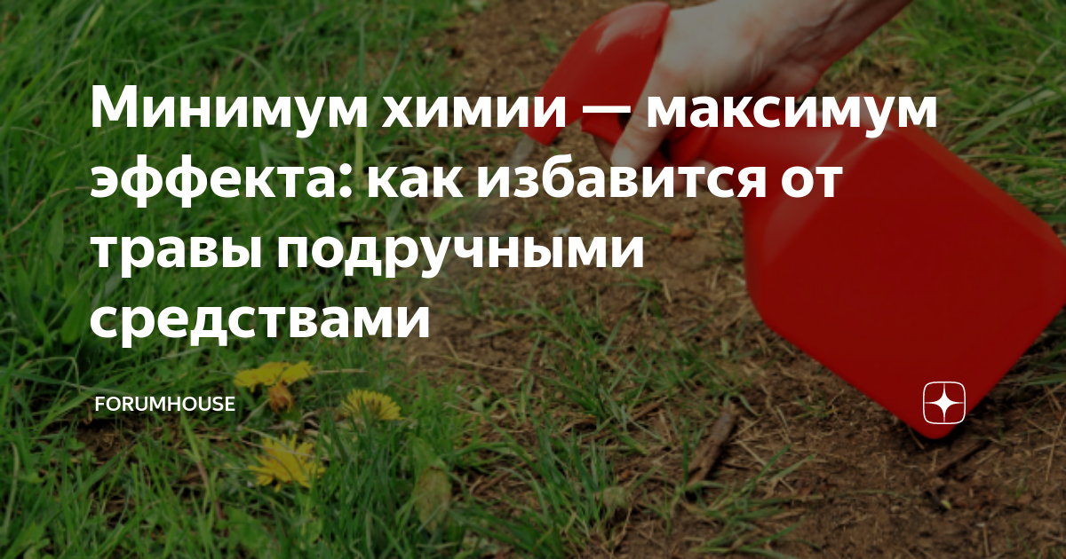 Минимум химии — максимум эффекта: как избавится от травы подручными ...