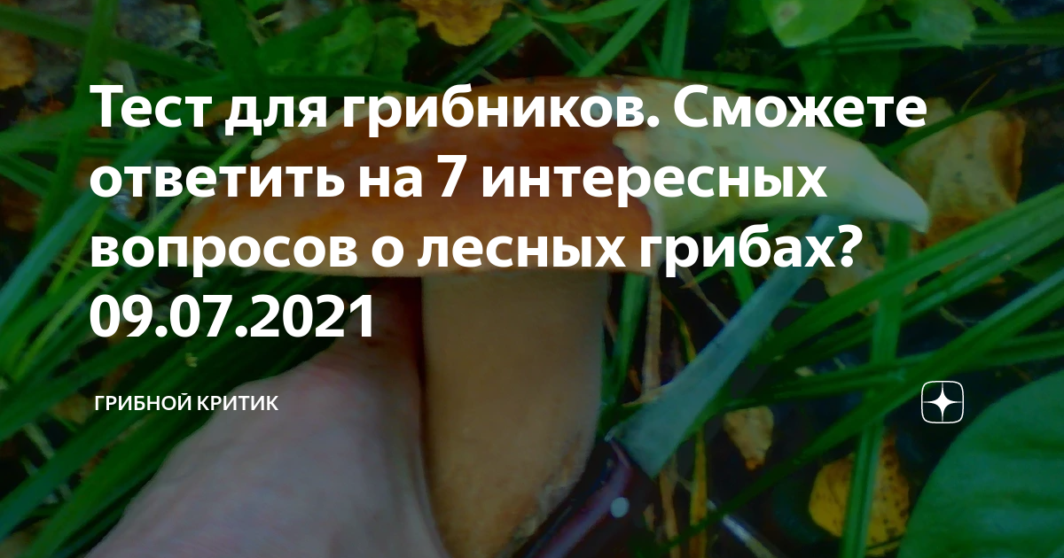 тест по теме грибы 7 класс с ответами
